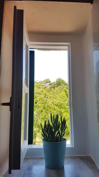 Karydia Apartments 4 Pers Lazaráta 外观 照片